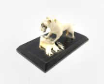 WWII British Propaganda ivory model of a Bulldog tearing up the German flag, mounted on ebony base,