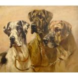 Mabel Gear (British 1898-1987): Trio of Dogs, oil on panel signed 39cm x 45cm DDS - Artist's resal