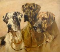 Mabel Gear (British 1898-1987): Trio of Dogs, oil on panel signed 39cm x 45cm DDS - Artist's resal