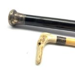 Walking stick with carved horn dogs head handle and an ebonised evening cane with silver top