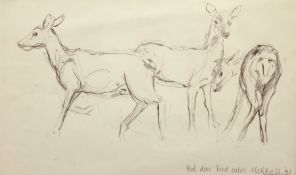 Mark Hearld (Scottish 1974-): 'Red Deer Hind Calves', pencil sketch signed titled and dated '97, 23c