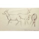 Mark Hearld (Scottish 1974-): 'Red Deer Hind Calves', pencil sketch signed titled and dated '97, 23c