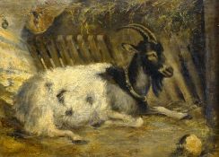 John Ritchie (British 1828-1905): Reclining Goat, oil on canvas signed 33cm x 45cm