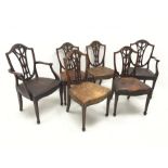 Set six early 20th century Sheraton revival dining chairs, shield shaped back with serpentine bead c