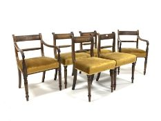 Matched set of six (4+2) Regency mahogany 'Trafalgar' dining chairs with rope twist backs, upholster