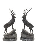 After Jules Moignier - Pair of bronze stags on marble bases H73cm