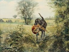 Henry Wilkinson (British 1921-2011): Labrador Retrieving a Pheasant, oil on canvas signed 49cm x 64c