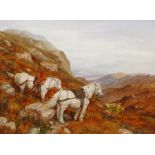 Elizabeth M Halstead (British late 20th century): Taking a Rest - Ponies on the Highlands, oil on bo