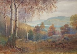 David Gould (British 1871-1952): Forest above a Lake, watercolour signed 32cm x 45cm
