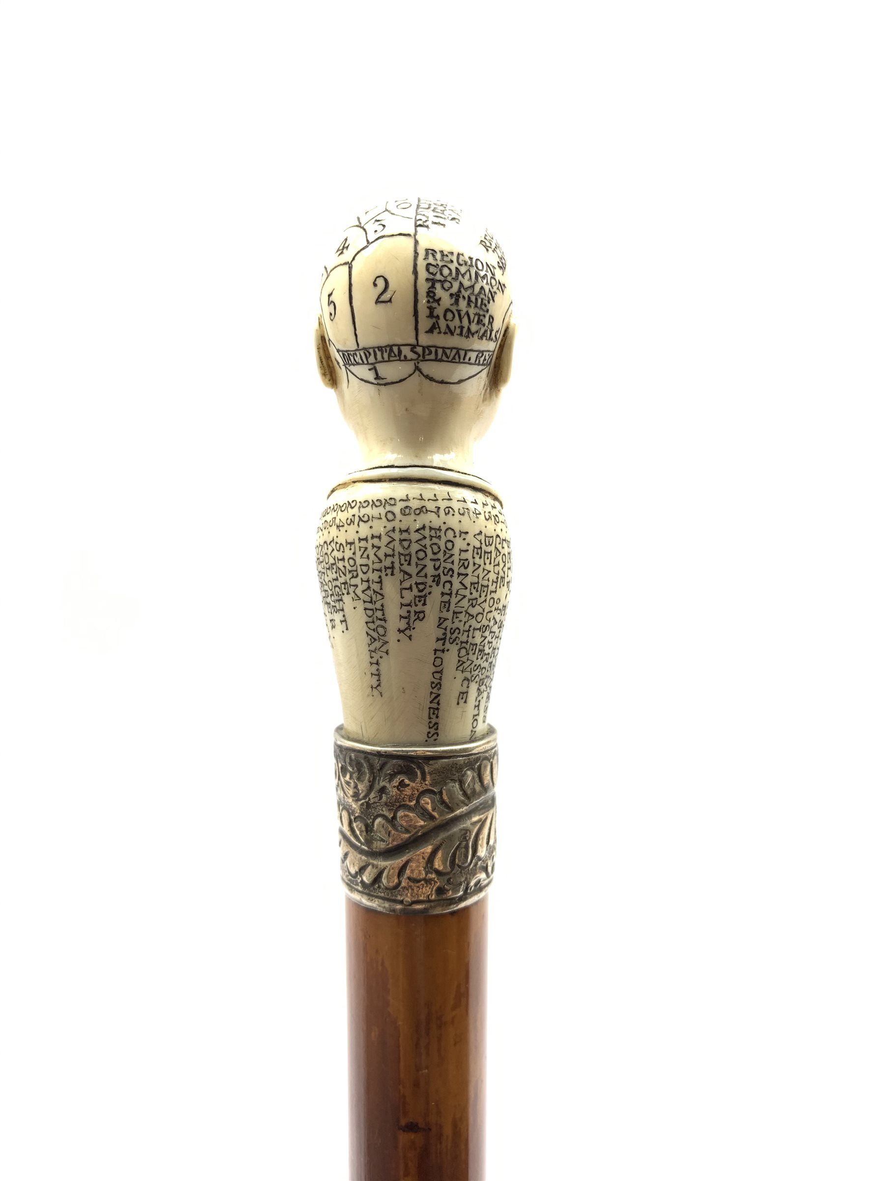 Victorian Phrenology walking cane, Malacca shaft with silver collar and carved ivory phrenology head - Image 5 of 8