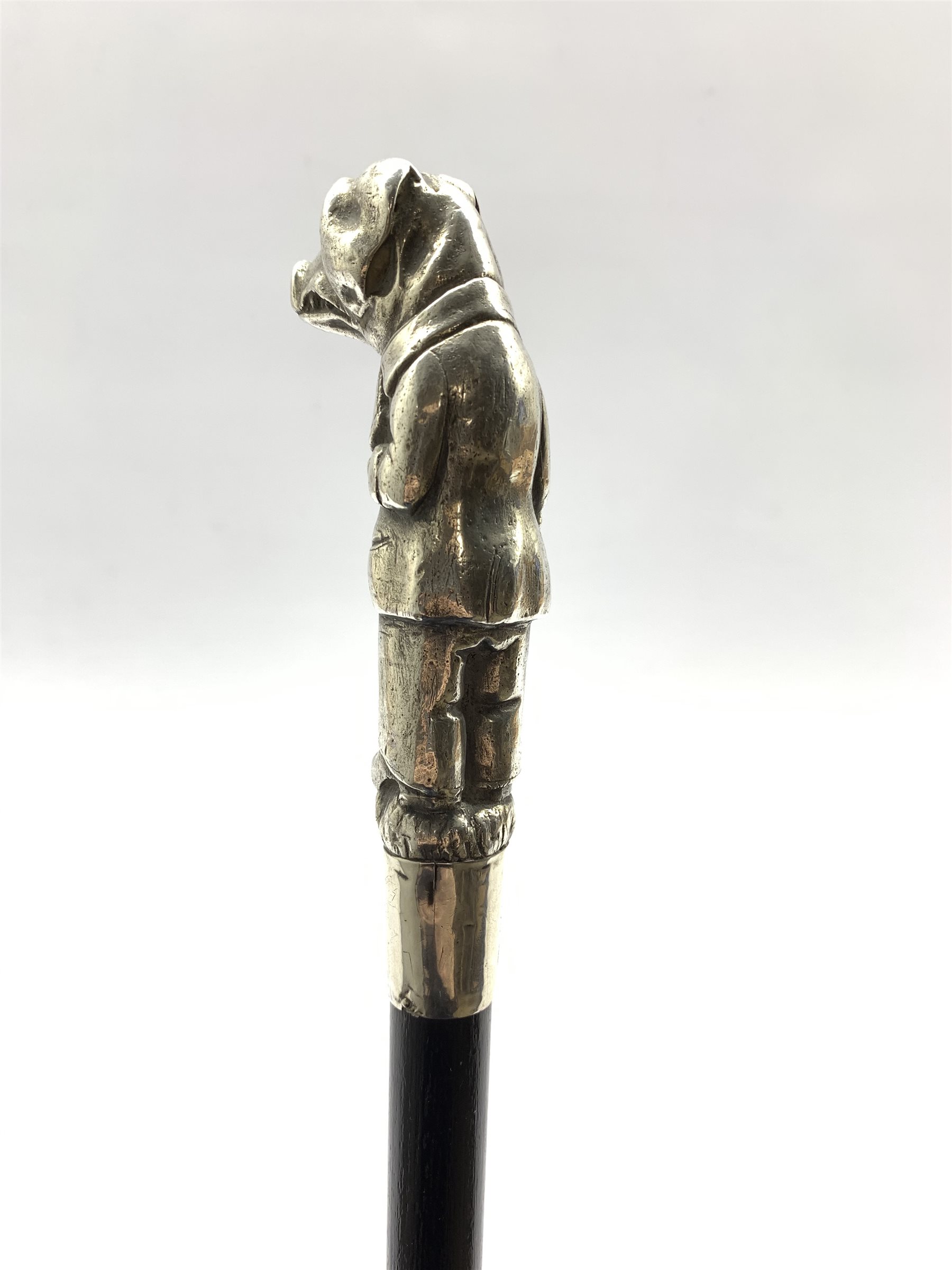 Late Victorian ebonised walking cane, the finial modelled as a silver Anthropomorphic Pig wearing a - Image 4 of 7