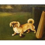 Circle of Maud Earl (British 1864-1943): Dog with a Cricket Ball, oil on board unsigned 20cm x 25cm