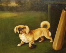 Circle of Maud Earl (British 1864-1943): Dog with a Cricket Ball, oil on board unsigned 20cm x 25cm