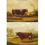Winston Mitchell (British 19th century): Portraits of Cattle in the Field, pair oils on canvas signe