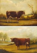 Winston Mitchell (British 19th century): Portraits of Cattle in the Field, pair oils on canvas signe