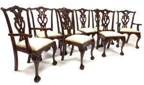 Set eight (6+2) Chippendale style mahogany dining chairs with cream damask drop in seats, raised on