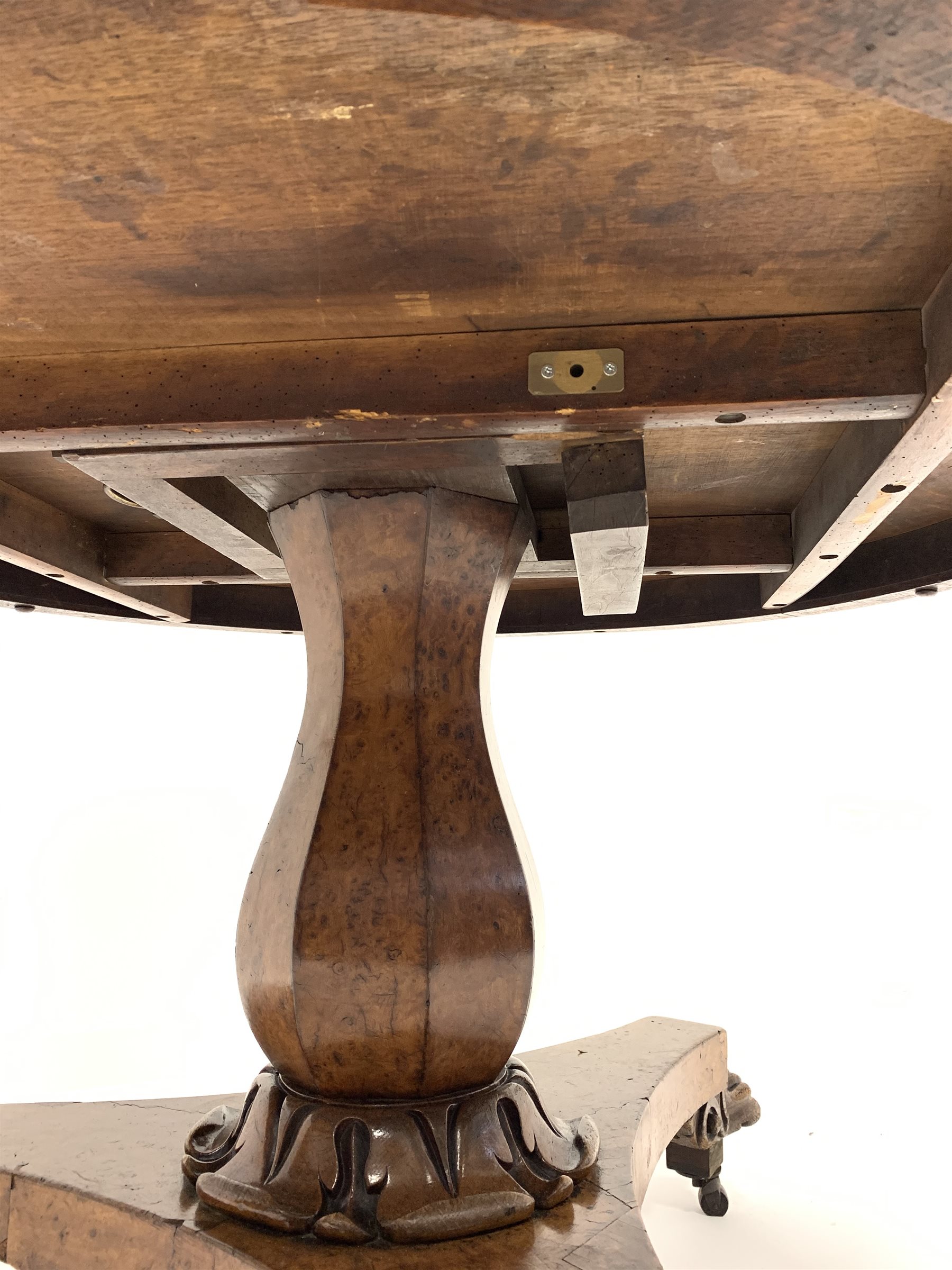 Mid 19th century burr hardwood breakfast table, circular tilt top raised on a panelled baluster pede - Image 4 of 4