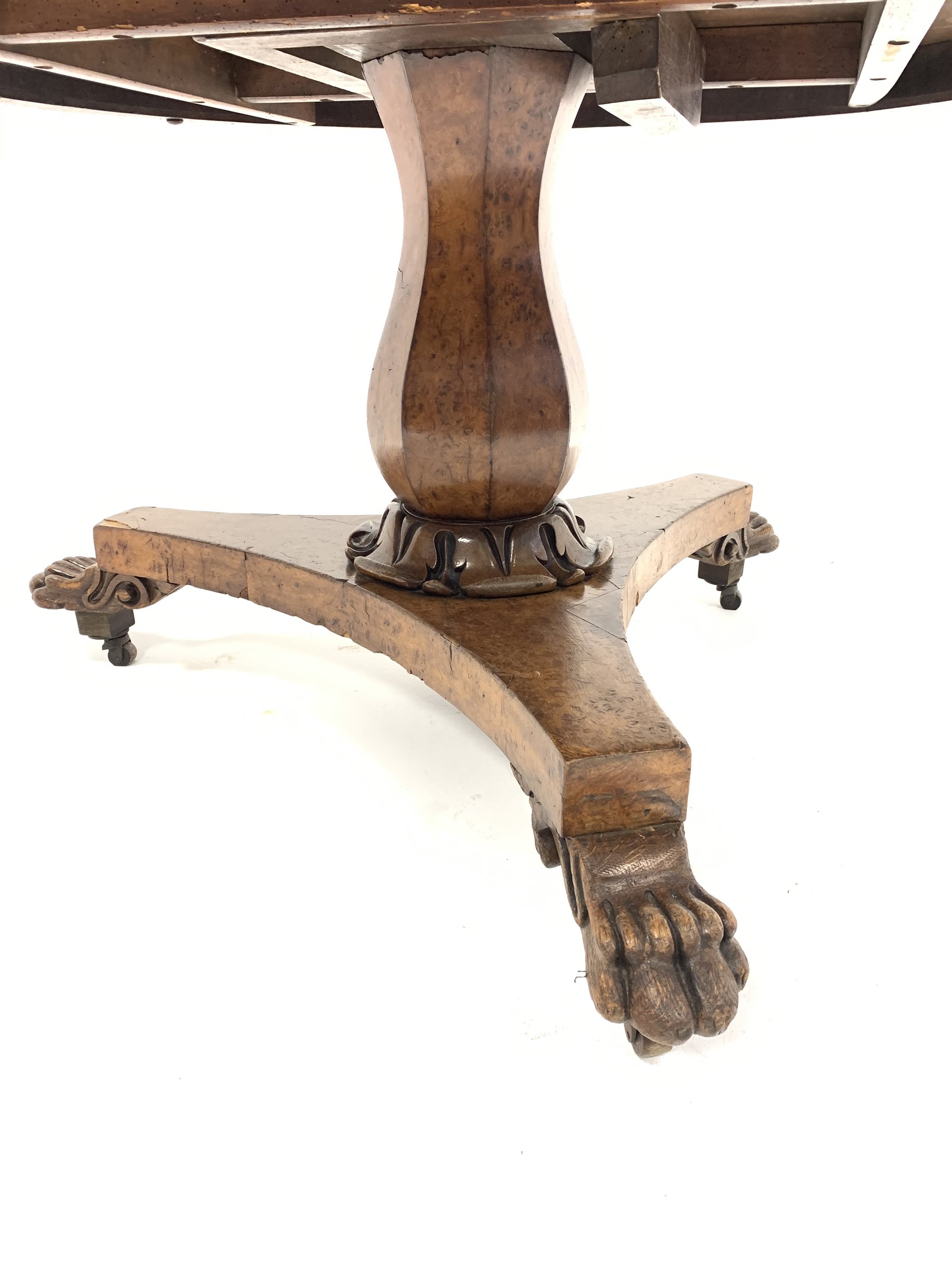 Mid 19th century burr hardwood breakfast table, circular tilt top raised on a panelled baluster pede - Image 3 of 4