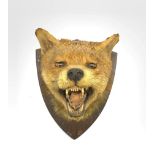 Taxidermy - Fox mask with mouth agape on an oak wall shield