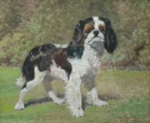 M Stanger Pritchard (British exh.1905-1918): Portrait of a King Charles Spaniel, oil on board signed