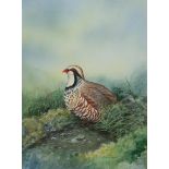 Gordon C Turton (British 1947-): 'Red Legged Partridge', watercolour signed and dated 1988, titled v