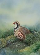 Gordon C Turton (British 1947-): 'Red Legged Partridge', watercolour signed and dated 1988, titled v