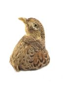 Taxidermy: Hen Pheasant