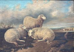 English School (19th century): Sheep Resting in an Open Landscape