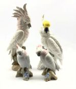 Crown Staffordshire figure of a cockatoo designed by J T Jones H35cm