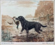 Reuben Ward Binks (British 1880-1950): 'Labrador' original aquatint etching
