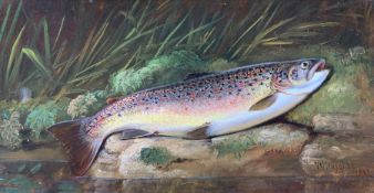 Thomas G Targett (British 1828-1891): 'Brown Trout on Riverbank'