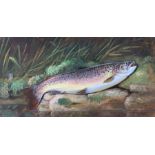 Thomas G Targett (British 1828-1891): 'Brown Trout on Riverbank'