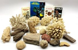 Collection of ten fossilised tree branches and minerals together with three books on fossils and nin