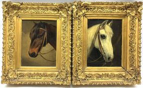 English School (19th/20th century): Portrait of a Bay Pony and Portrait of a Grey