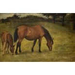 English School (19th century): Foal and Mare Grazing