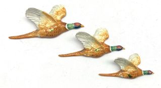 Set of three graduated Beswick Pheasant wall plaques comprising models 661/1