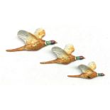 Set of three graduated Beswick Pheasant wall plaques comprising models 661/1