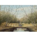 Neil Spilman (British 1951-): Woodland Path in Autumn