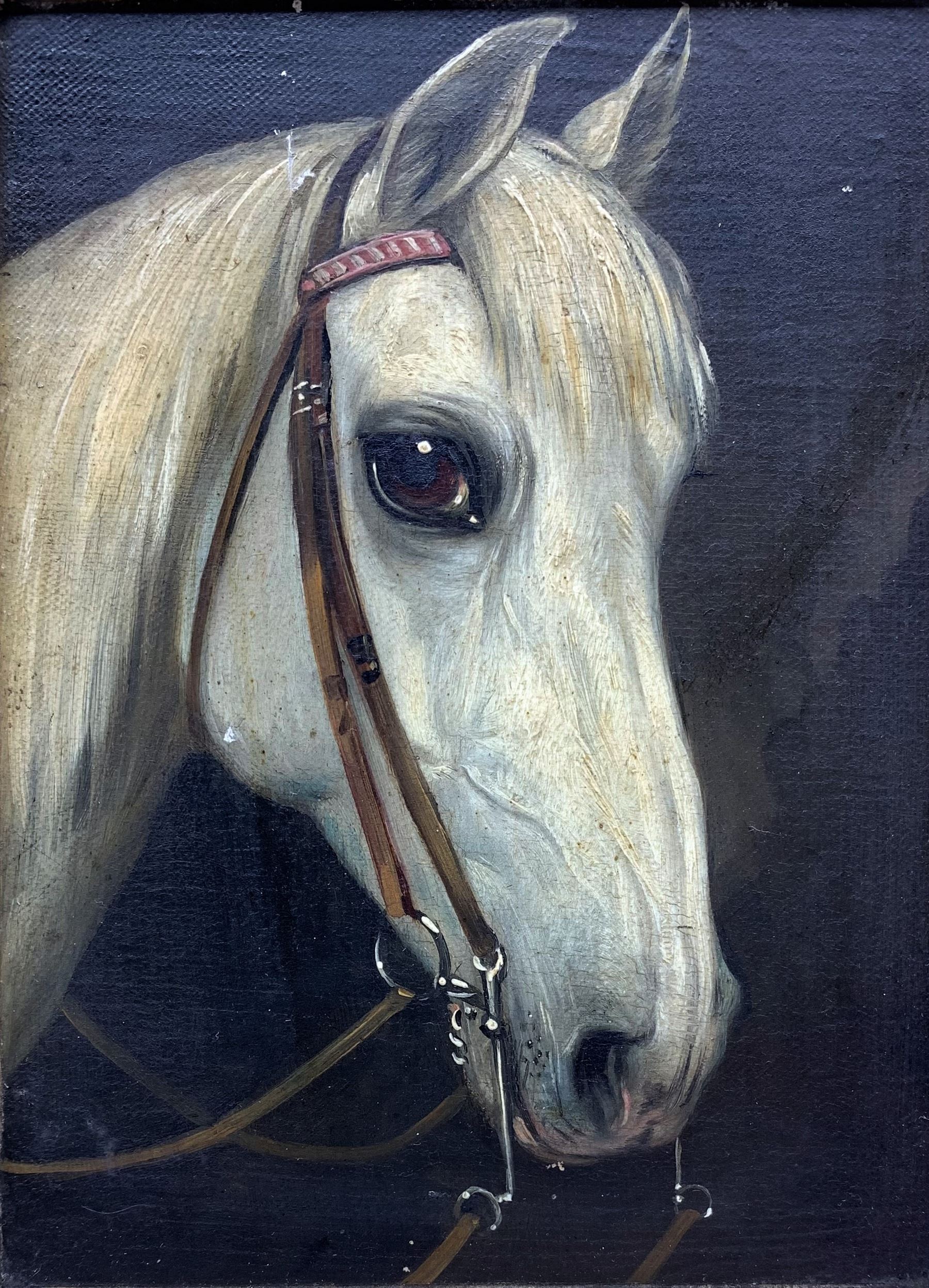 English School (19th/20th century): Portrait of a Bay Pony and Portrait of a Grey - Image 2 of 4