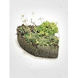 Small composition stone planter W65cm