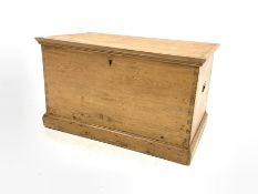 19th century pine blanket box