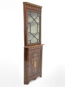 Edwardian mahogany floor standing display cabinet