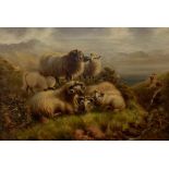 W Thompson (British early 20th century): Rams and Lambs Resting in Moorland Landscape