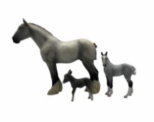 North Light Stallion Shire Horse and Dapple Grey Shire Foal