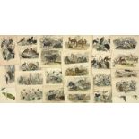 After J Stewart Del (British 18/19th century): Large collection hand-coloured engravings of birds an