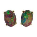 Pair of gold oval opal stud earrings