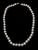 Single strand cultured white/pink pearl necklace
