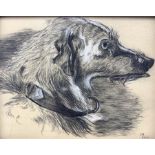 Continental School (Early 20th century): Study of a Lurcher