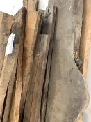 Large collection of unworked timber