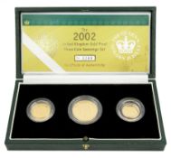Queen Elizabeth II 2002 gold proof three coin collection